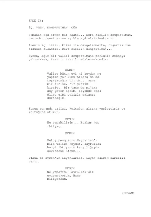 EVLİLİK BU MU ŞİMDİ first page thumbnail