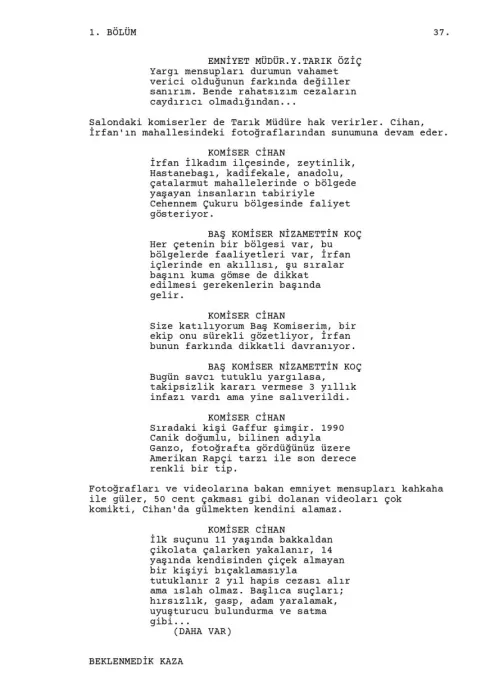 FIRTINA  HAYATLAR sample page thumbnail